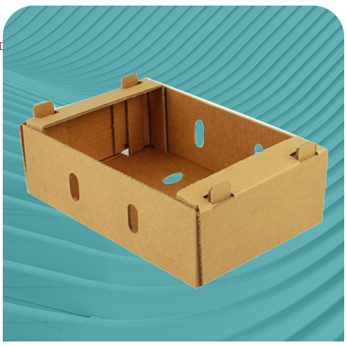 fruit-currgrated-box