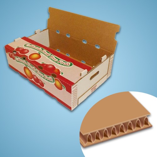 Fruit corrugated box Manufacturers in Coimbatore