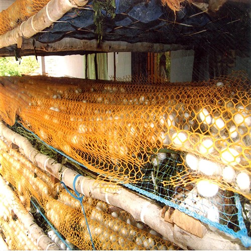 Sericulture Netrica Net