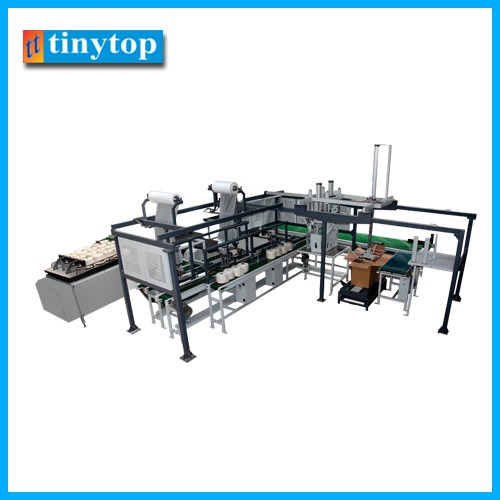 Automatic Cone Packing Machine