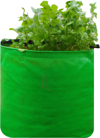 Grow Bag