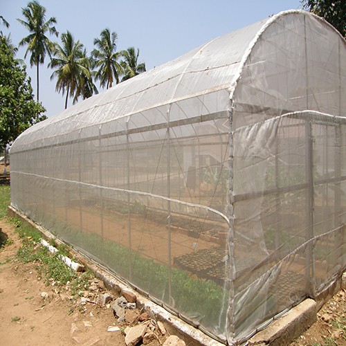 Insect Net