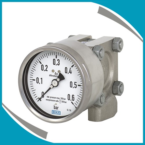 Differential pressure gauge