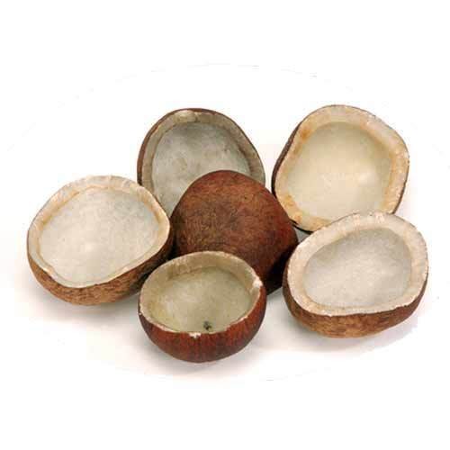 Dried Raw Coconut Copra