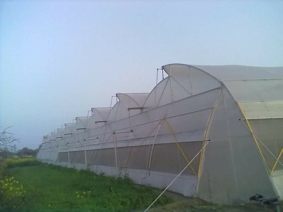 Poly House