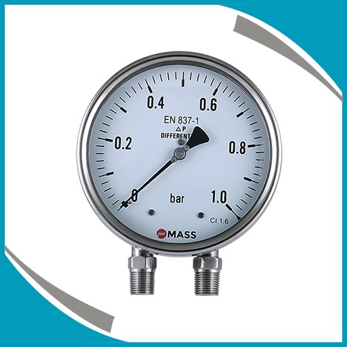 D100, Bellow Type Differential Pressure Gauge