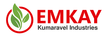 Dhana Lakshmi Logo
